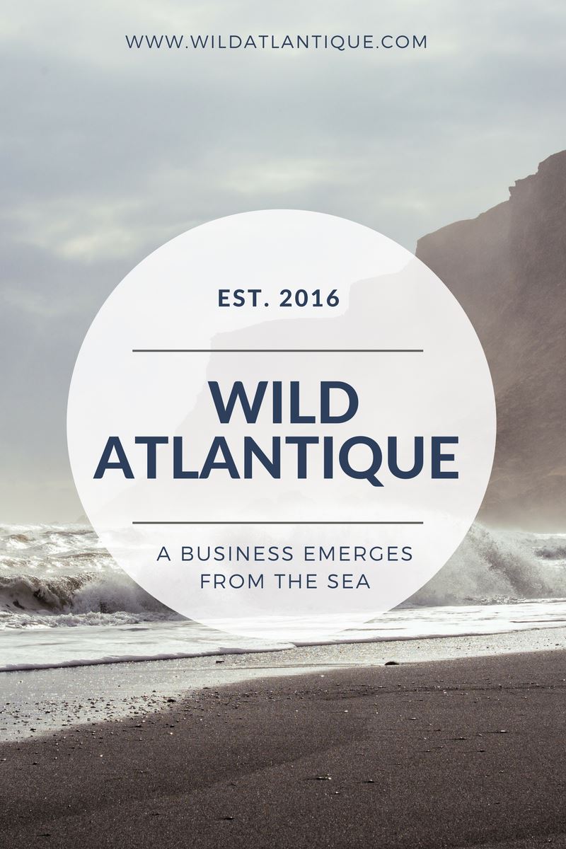 Wild Atlantique: A Business Emerges from the Sea
