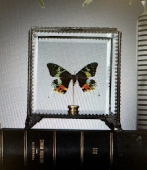 Custom Order - Wallpaper, Butterfly Art Objects