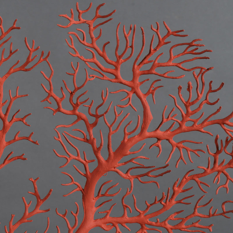 Imperial Red Gorgonian Coral Imperial Red Gorgonian Coral Ateliers CSD 